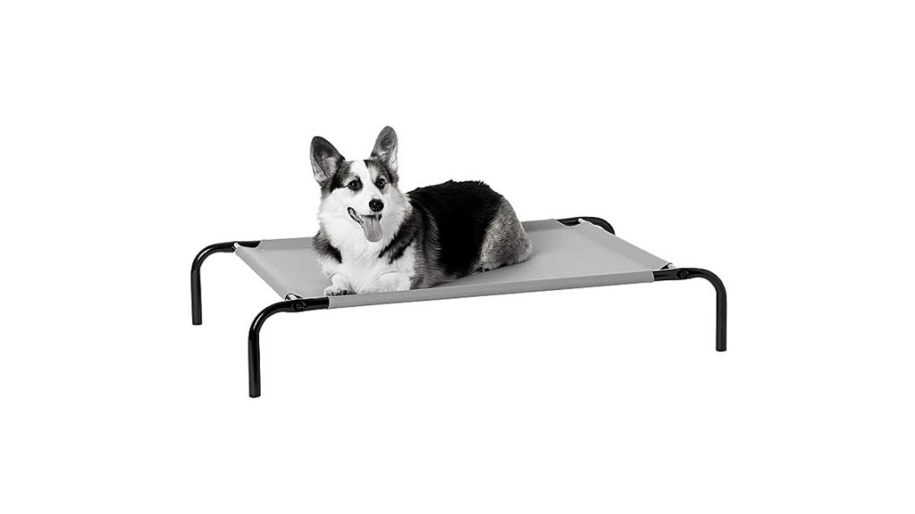 Top 3 Best Dog Elevated Bed in 2021