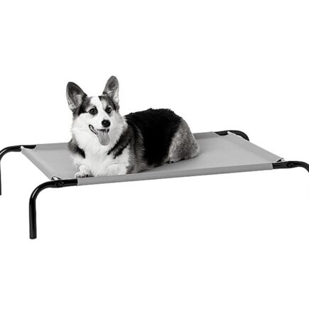 Top 3 Best Dog Elevated Bed in 2021