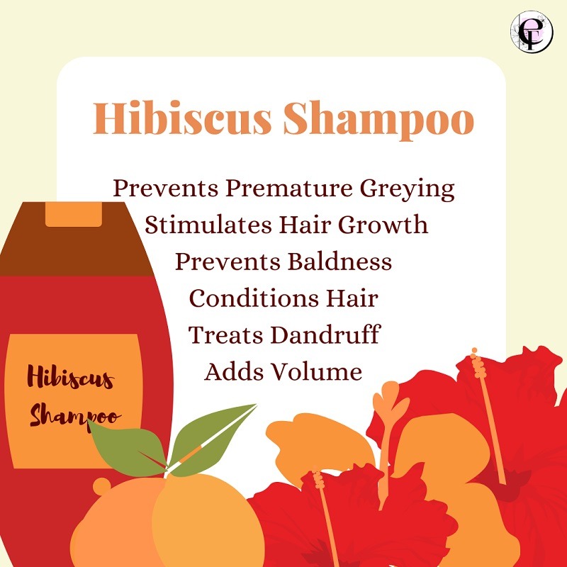hibiscus shampoo blog 2