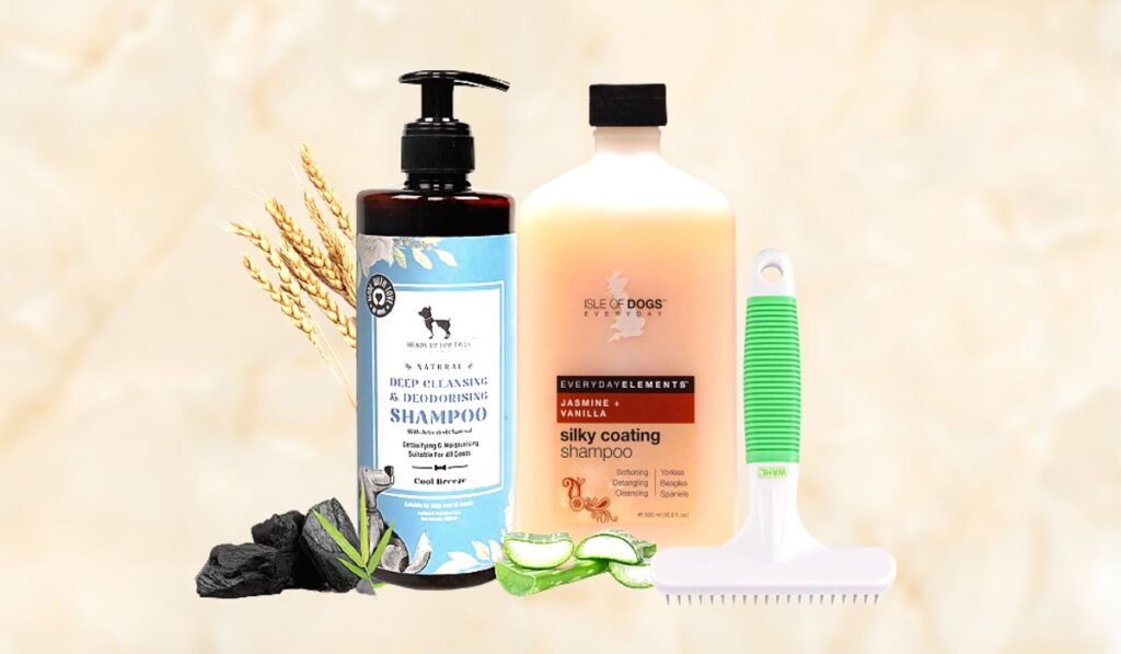 Best Quality Dog care Products in India in August 2022