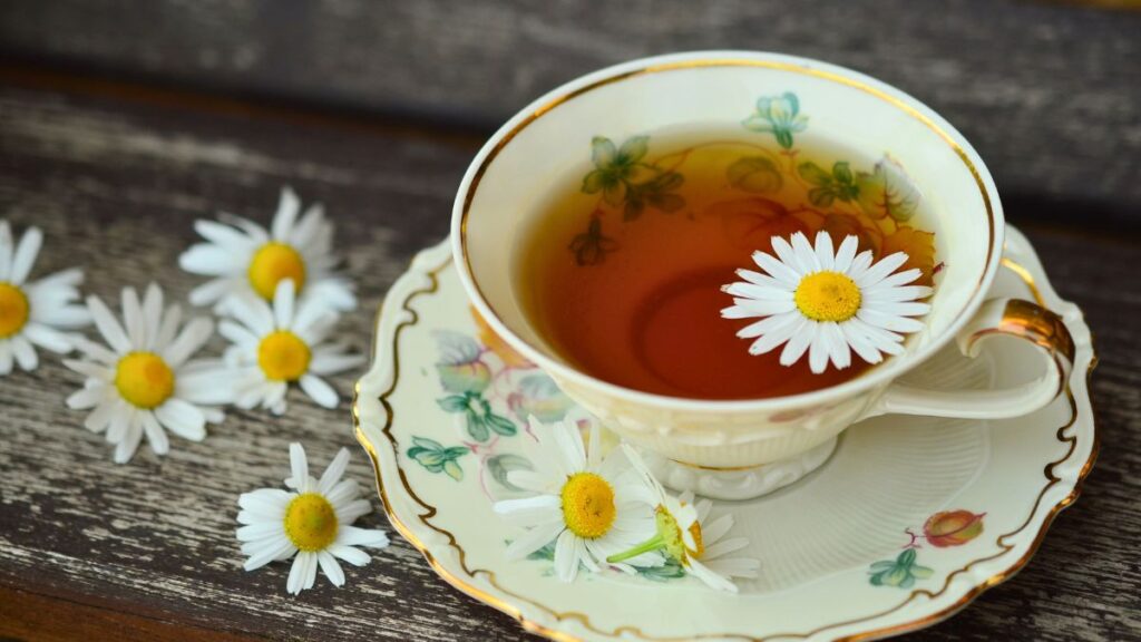 chamomile tea and its benefits